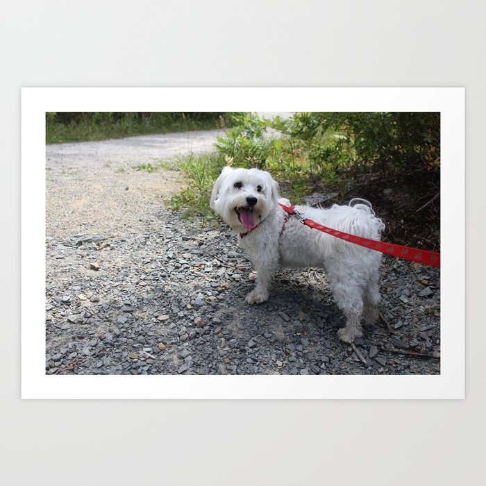 Puppy Going for a Hike Art Print