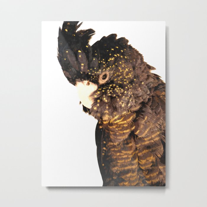 Black cockatoo illustration Metal Print