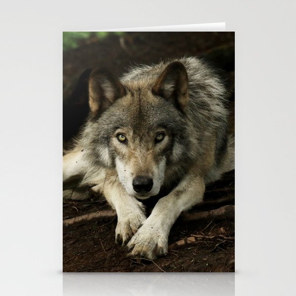 Intense Timber Wolf Stationery Cards