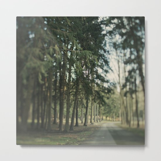Standing Tall Metal Print