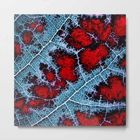 leaf structure macro III Metal Print
