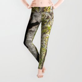 Baby Bears in a Tree Photography Print Leggings