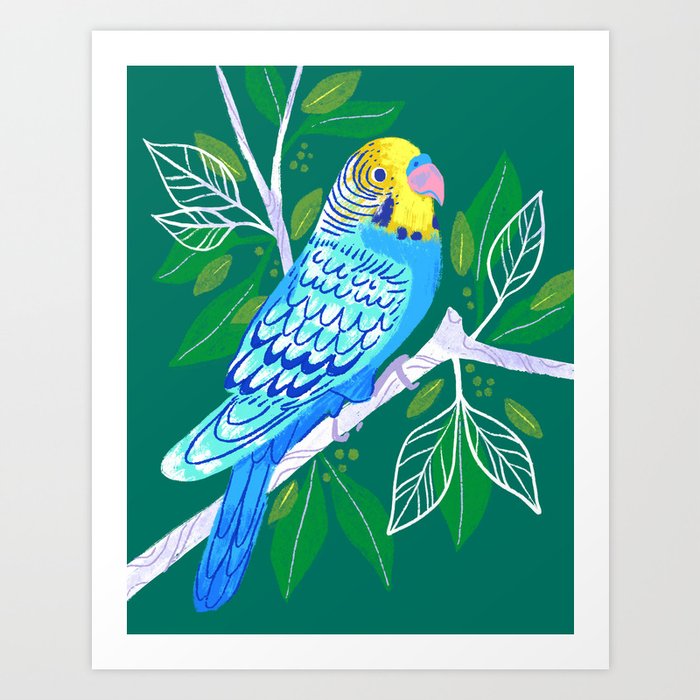 Pretty Blue Parakeet Art Print