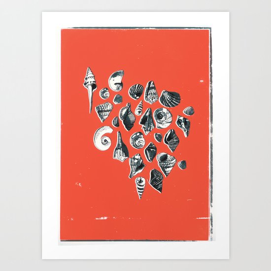 shells Art Print