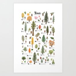 Trees of the Pacific Northwest Art Print