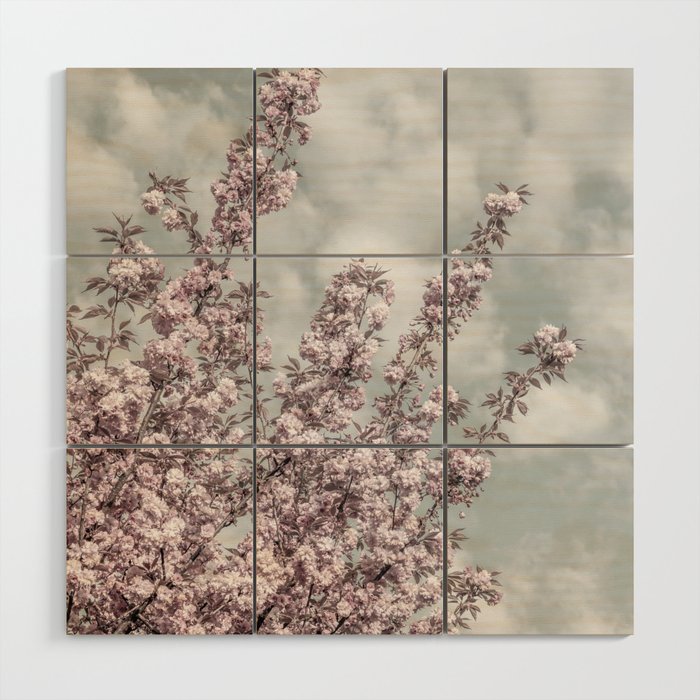 Cherry blossoms with sky view Wood Wall Art
