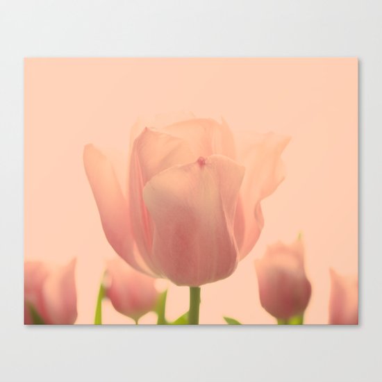 Essence of Spring Canvas Print