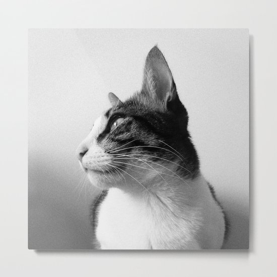 Thats my Cat !! 05 Metal Print