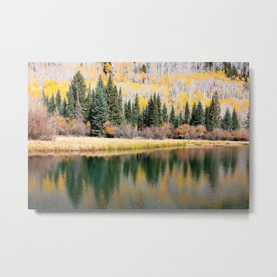 Enchiladas in the Trees 3 Metal Print
