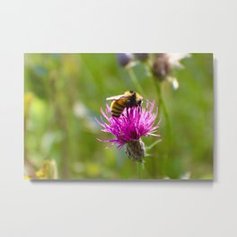 Bee Happiness Metal Print | Mittenlove, Naturephotography, Digital, Michigan, Naturelovers, Nature, Wanderlust, Macro, Beephotography, Travel 