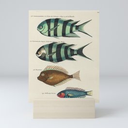 fish by Louis Renard Mini Art Print