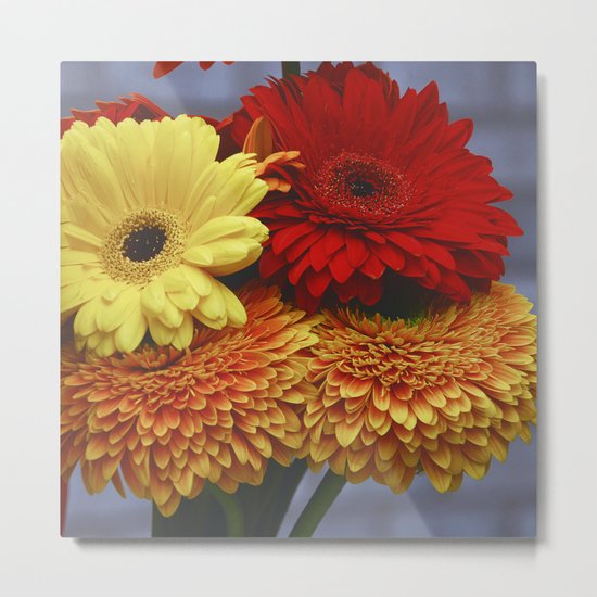 Colorful Germini Metal Print