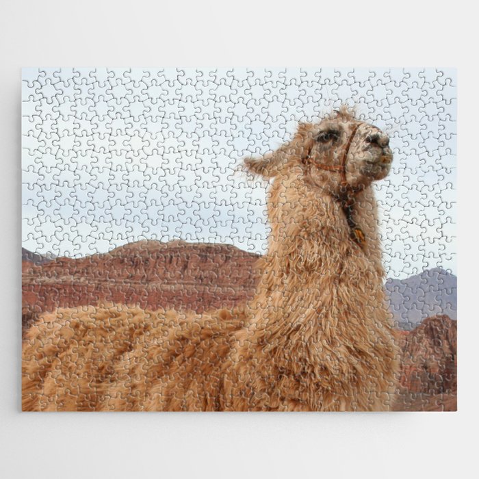 Argentina Photography - Llama In The Mountain Filled Desert Jigsaw Puzzle