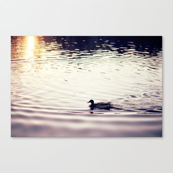 Swimming at Sunset Canvas Print