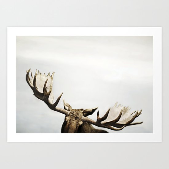 fig. 02 | antlers Art Print