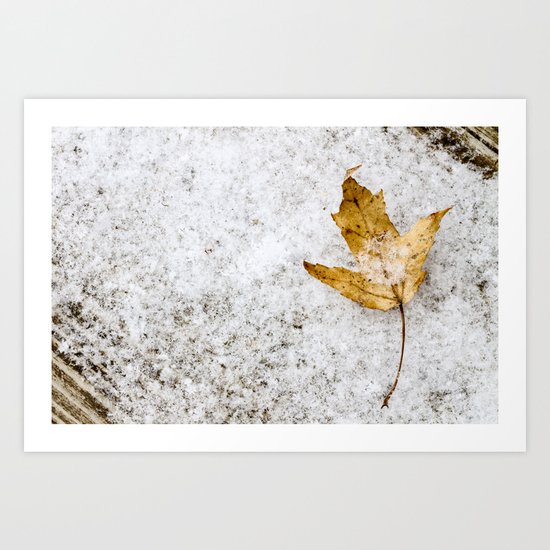 snow and a leaf Art Print