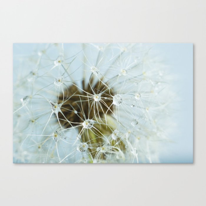 Wetwishes Canvas Print