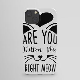 Are You Kitten Me Right Meow iPhone Case