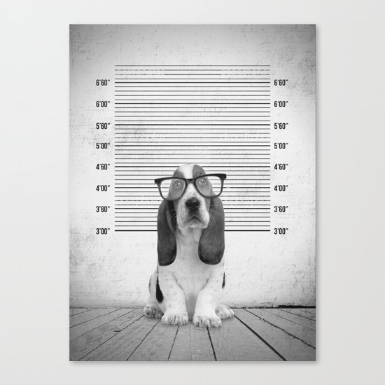 Guilty Puppy Canvas Print