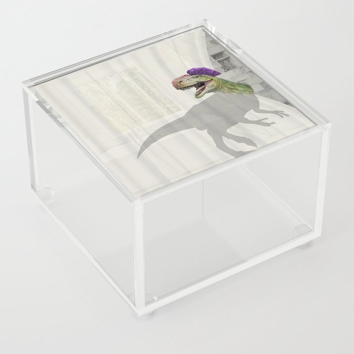 Dinosaur Bath - Do not Disturb Acrylic Box