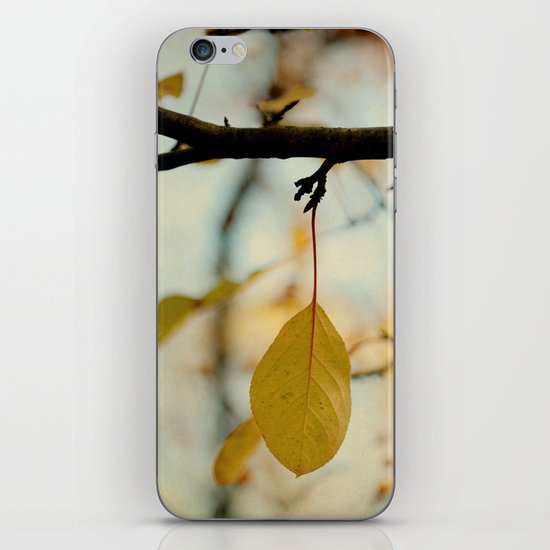One iPhone & iPod Skin