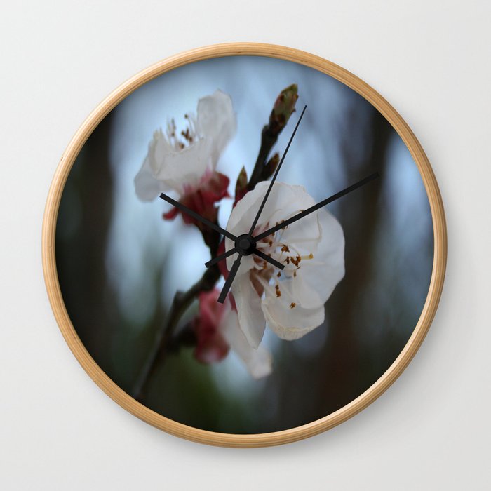 Close Up Apricot Blossom In Pastel Shades Wall Clock