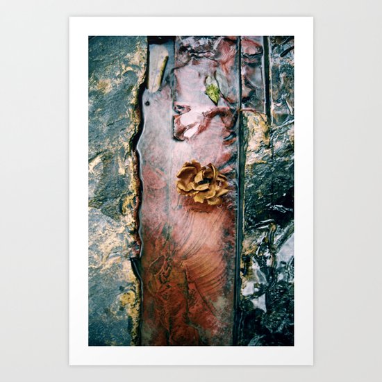 La Gran Sabana Art Print