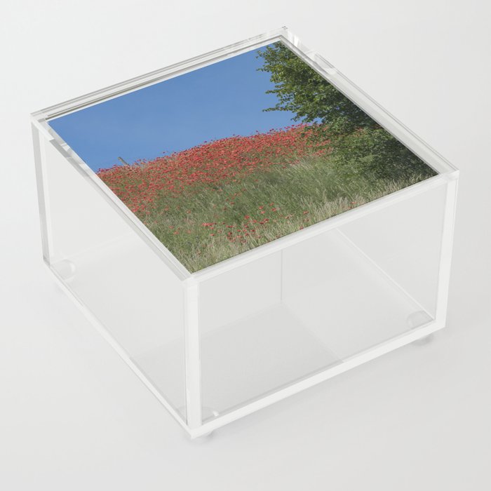 Poppy field Acrylic Box