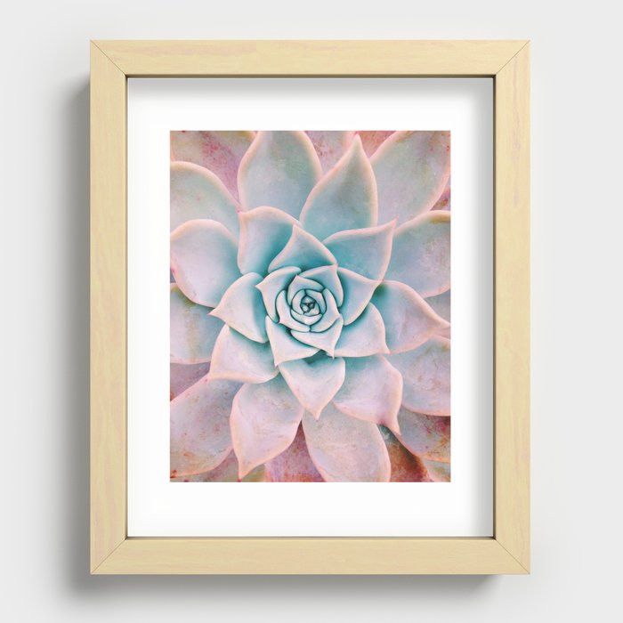Pastel Succulent Recessed Framed Print