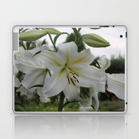 Splendid Flower Laptop & iPad Skin