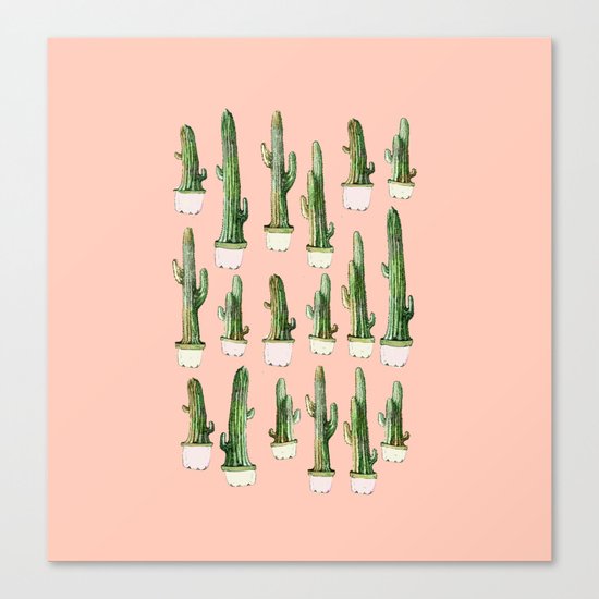 pink cactus Canvas Print