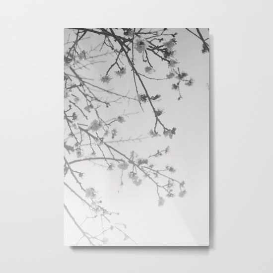 Rising Dawn Metal Print
