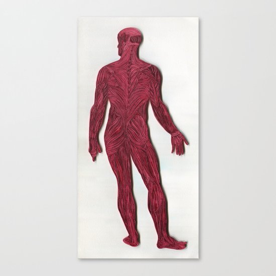Full Figure Muscle Structure Canvas Print