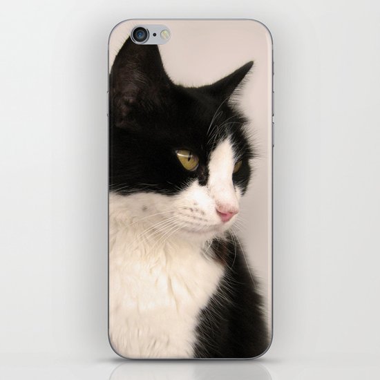 Cat iPhone & iPod Skin