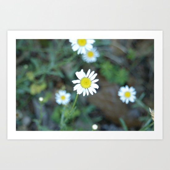 Remember Summer? Art Print