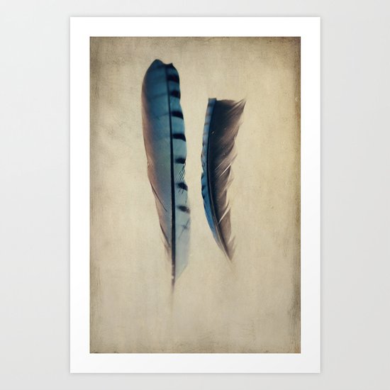 Feathers Art Print