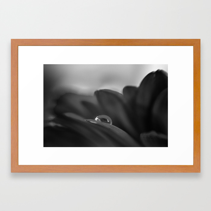 Poster Flowers And Droplets Art Print // Canvas Print Wall Art Home Decor G