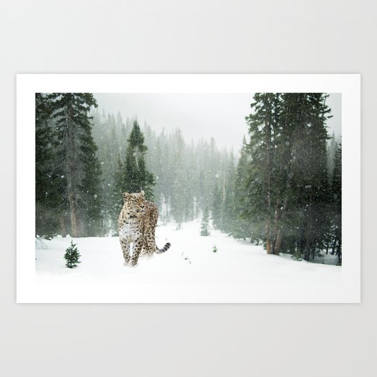 Leopard persian Art Print