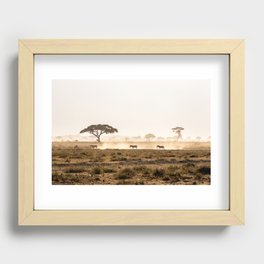 Zebra in Amboseli Dust Recessed Framed Print