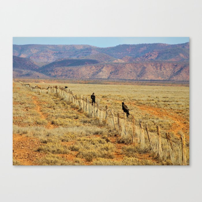 Wedgetail Eagles on a Fence, Outback Australia Canvas Print