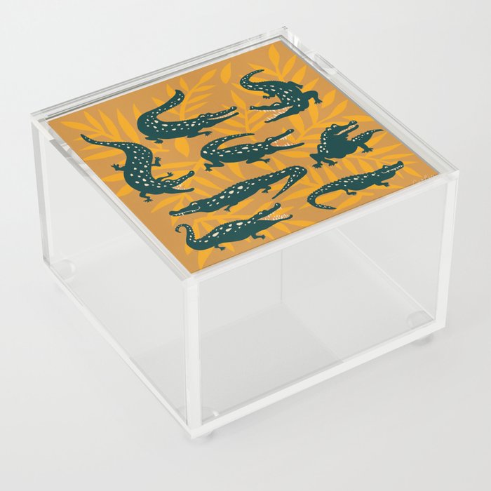 Alligator Collection – Ochre & Teal Acrylic Box