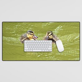 Two Baby Mallard Ducklings Swimming Desk Mat