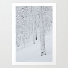 Snow covered forest winter wonderland Art Print