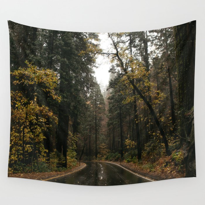 Fall Road Trip Through A Forest Wall Tapestry