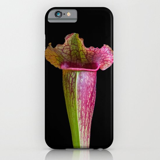 Sarracenia (American pitcher plant) iPhone & iPod Case