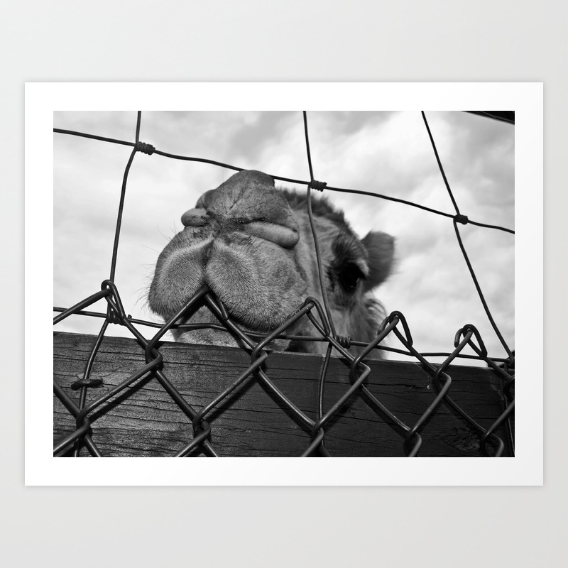 Caged Animal Art Print By Nomad Society6