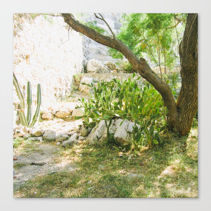 Summer succulents garden in Bodrum St.Peter's Castle Canvas Print