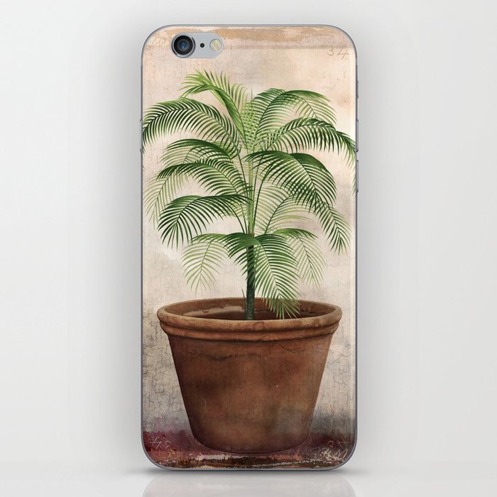 Vintage potted tropical palm iPhone Skin