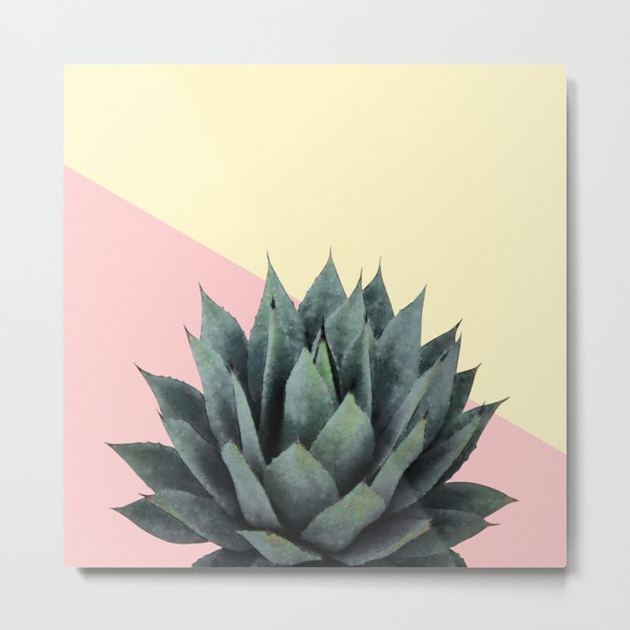 Agave Plant on Lemon and Pink Wall Metal Print
