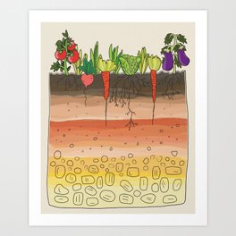 Earth soil layers vegetables garden cute educational illustration kitchen decor print Art Print